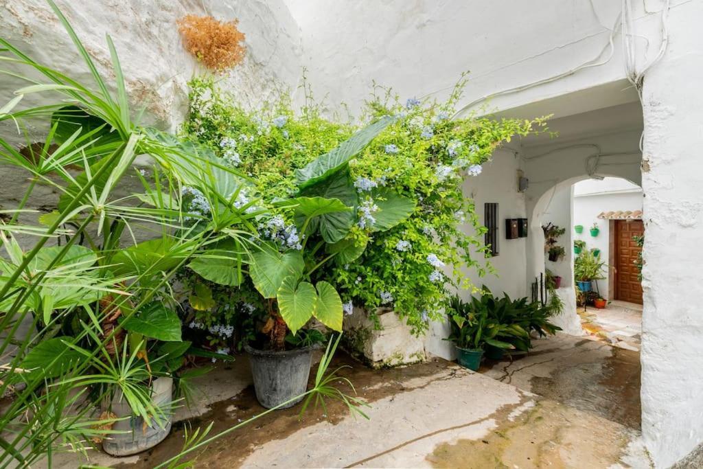 Preciosa Casa Independiente Con Increibles Vistas Vejer de la Frontera Zewnętrze zdjęcie